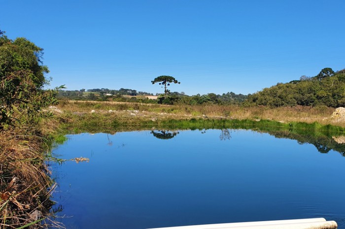 Ação ambiental envolve agricultores de hortaliças para melhorar água do Miringuava