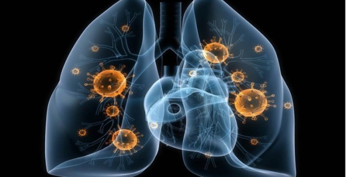 Dia Mundial de Combate à Tuberculose alerta para diagnóstico e tratamento da doença