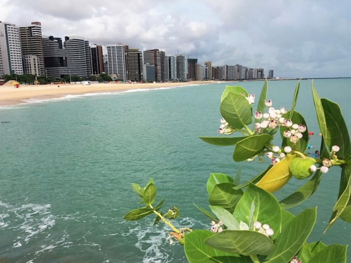 Balneabilidade: 15 trechos de praias em Fortaleza estão próprios para banho