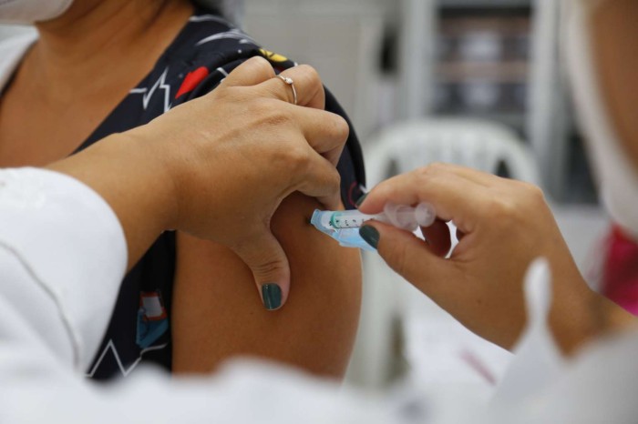 Covid-19 e gripe: Comitê de Enfrentamento à Pandemia agenda “Dia D” de vacinação para 15 de abril