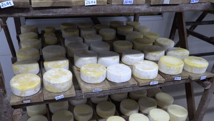 Queijaria de Ouro Preto conquista inédito Selo Arte