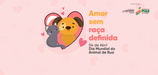 Semarh promove projeto “Amor sem Raça Definida” em Teresina
