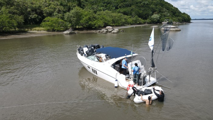 Limpeza na Baía da Babitonga: Metade dos resíduos recolhidos foram reciclados