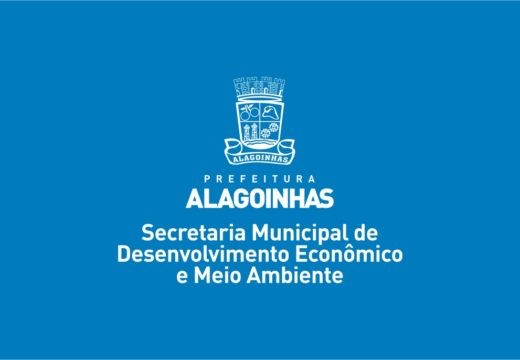 Nota técnica sobre o corte de árvores na rua Nilton Ornelas