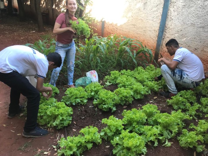 Escolas da rede estadual receberão suporte técnico para cultivo de hortas