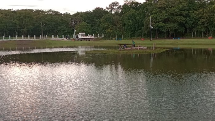 Em ação de limpeza, Prefeitura retira 400 quilos de lixo do Lago Harri Muller