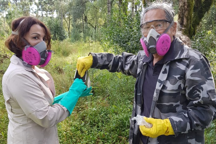 Secretaria da Saúde promove ação de prevenção e controle da hantavirose em Guarapuava