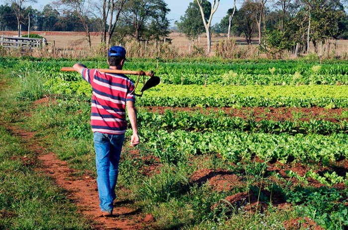 Senado vai analisar prazo de adesão ao Programa de Regularização Ambiental
