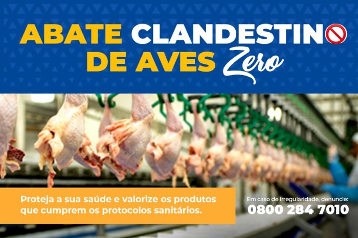 Prefeitura lança campanha contra abate clandestino de aves em Vitória da Conquista
