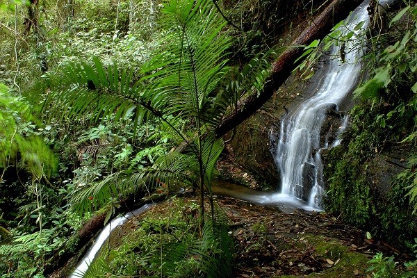 Parque Nova Baden é importante destino turístico do Circuito das Águas, no Sul de Minas