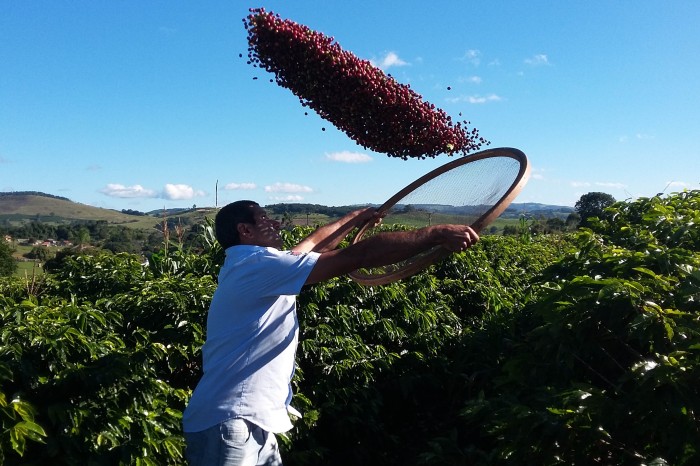 ExploLondrina recebe o tradicional encontro de cafeicultores do Paraná
