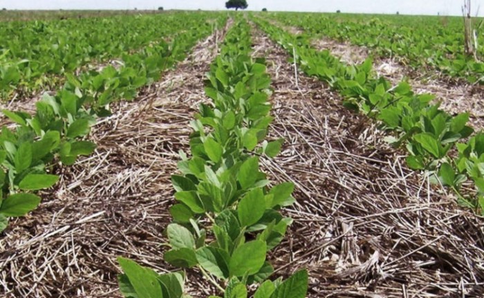 Governo do Tocantins realiza encontro em comemoração ao Dia Nacional de Conservação do Solo