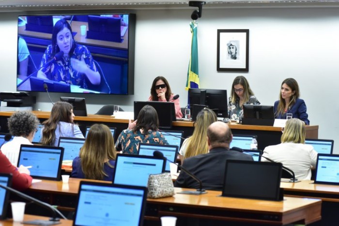 Comissão especial sobre violência obstétrica aprova seu plano de trabalho