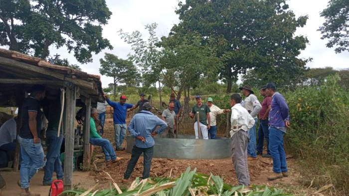 Emater-MG orienta produtores do Norte de Minas sobre alimentação do gado na época da seca