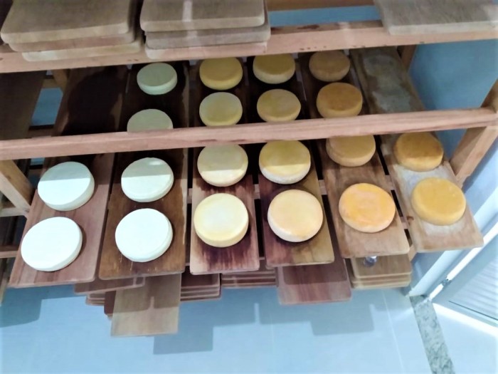 Epamig conduz caracterização do Queijo Minas Artesanal da região Serras do Ibitipoca