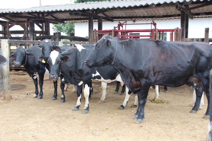 Emater-MG participa da 2ª Reunião da Plataforma pelo Agro Sustentável, no âmbito do Pacto Global