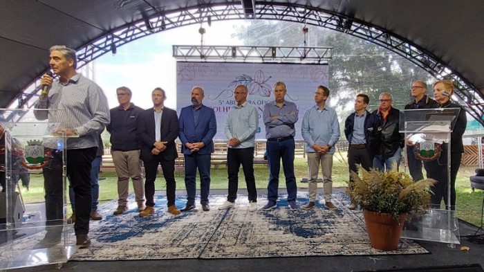 Colheita da noz-pecã é aberta oficialmente em Santa Maria