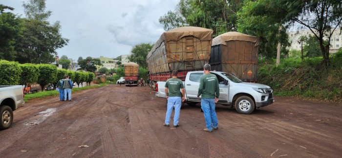 Operações de fiscalização ambiental combatem desmatamento e comércio ilegal de carvão em diversas regiões de Minas