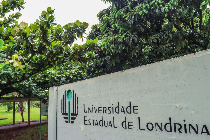 Projeto da UEL recruta gêmeos e familiares para atendimento psicológico gratuito