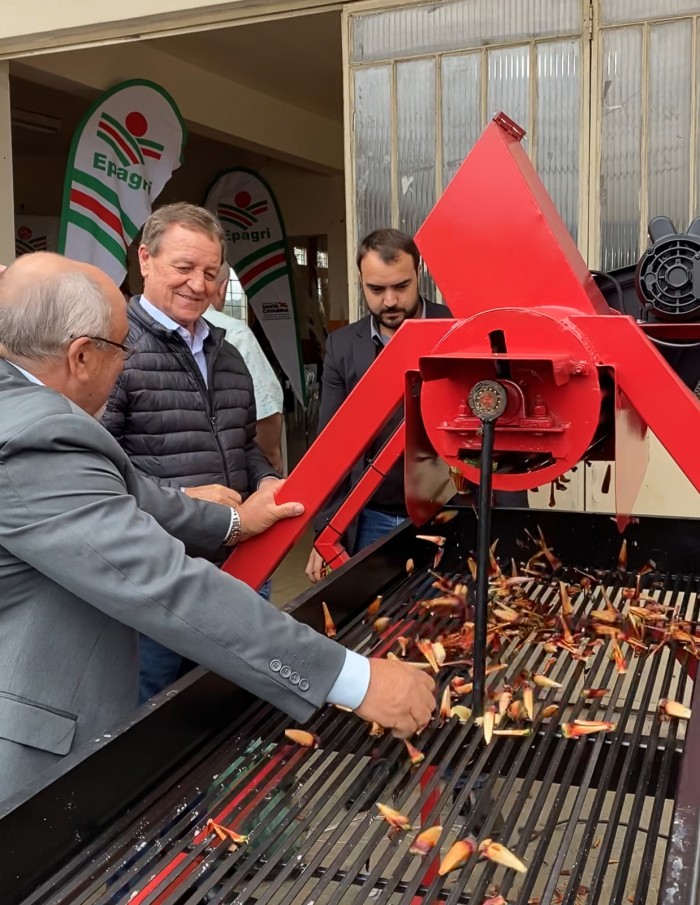 Secretaria da Agricultura destina R$ 150 mil para incentivar a colheita de pinhão em Painel