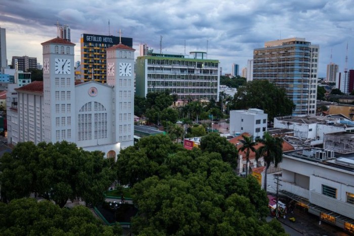 Sugestão de Pauta: Secretaria de Meio Ambiente promove plantio de árvores nativas