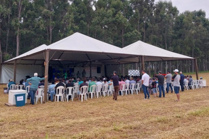 Com produção de mandioca em destaque no País, Rondon recebeu Encontro Regional de Produtores