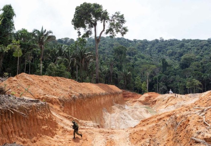 Comissão discute impactos do governo Bolsonaro no meio ambiente
