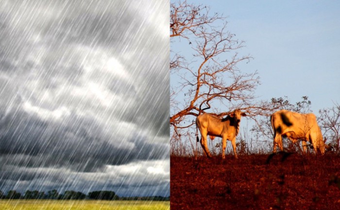 Agricultura alerta setor agropecuário sobre previsão climática após mês de junho