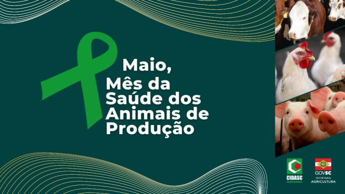Cidasc celebra o mês da Promoção da Saúde dos Animais de Produção com ações no estado