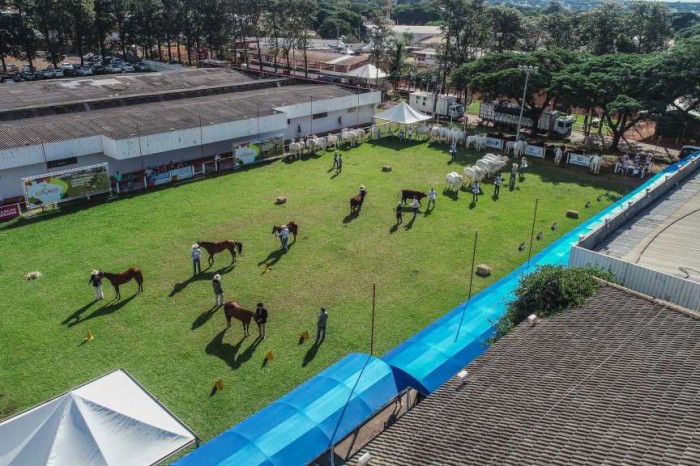 Potencial produtivo e de turismo rural no Noroeste será foco do IDR-Paraná na Expoingá 2023