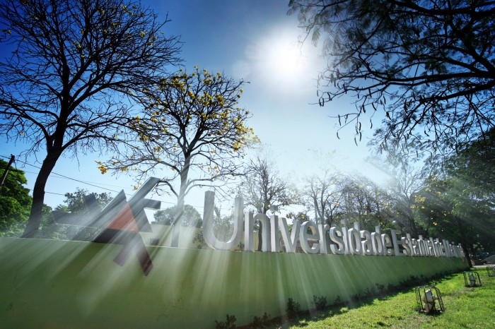 Ranking aponta UEM entre as 20 melhores universidades brasileiras na área da agricultura