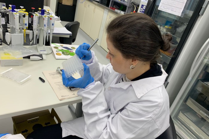 Estudo aponta que chikungunya em circulação no Paraná tem origem outras regiões do Brasil