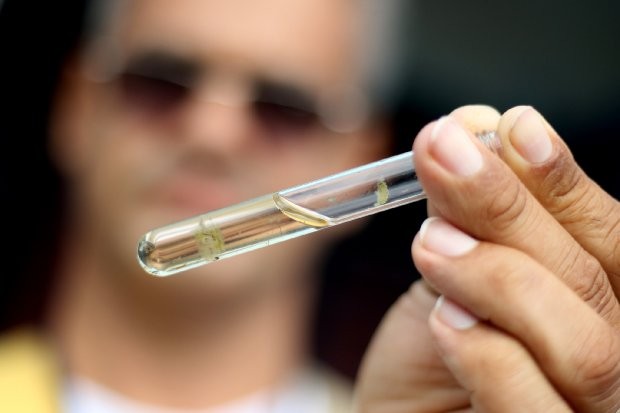 Instabilidade em sistema nacional de dados impede atualização sobre a situação da dengue no estado