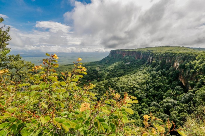 Evento de Ecoturismo Cultural e Gastronômico é realizado em Caruaru