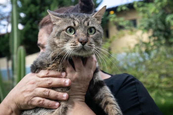 Adote uma companhia! Sábado (6) e dia de feirinha especial no Parque Tia Nair; Conheça os candidatos à espera de um lar
