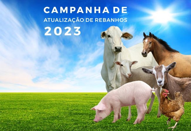 Campanha de atualização de rebanhos vai até o dia 30 de junho