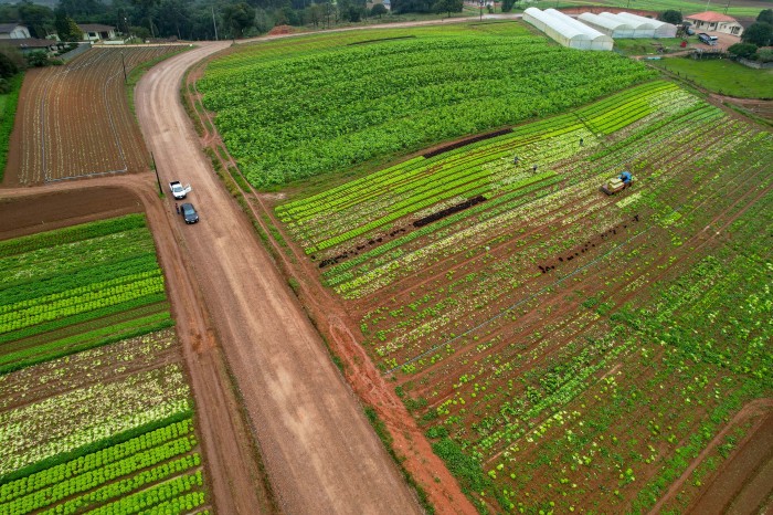 Com aporte de R$ 30 milhões, Estado incrementa agricultura e turismo em São José dos Pinhais