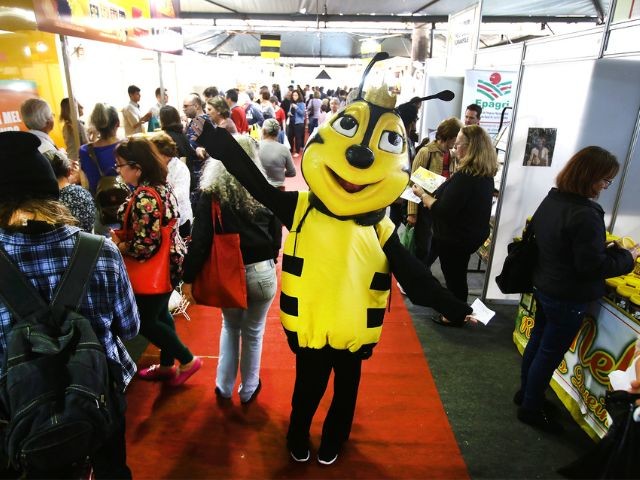 Florianópolis recebe Feira do Mel de SC entre 10 e 13 de maio