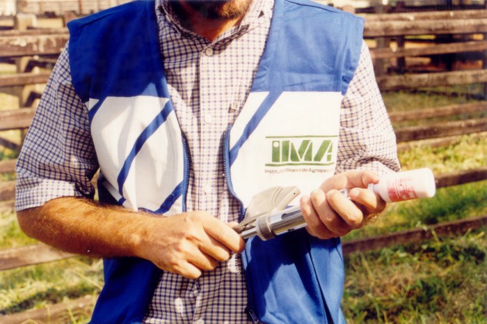 Inscrições para o concurso do IMA seguem até 16/5