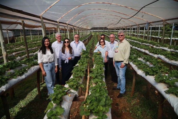 Estado reforça apoio à agricultura familiar com investimentos em cooperativa da região de Maringá