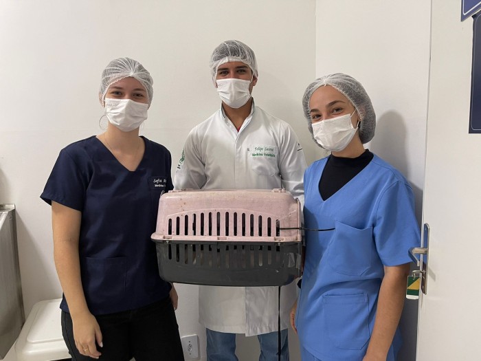 Mais de 200 cães e gatos já foram castrados em parceria entre a Secretaria de Saúde e a Clínica Veterinária da UniFTC