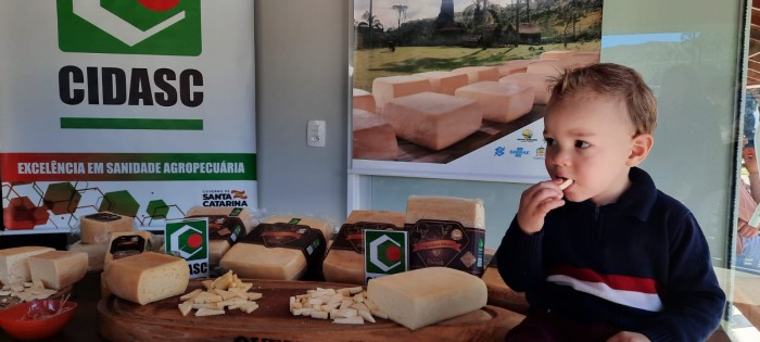 Duas queijarias recebem Selo Arte para queijo colonial Diamante, produto típico de Major Gercino