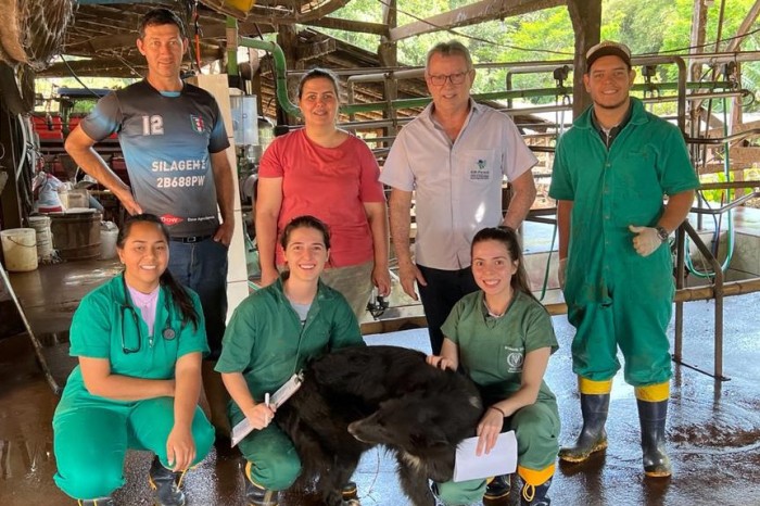 Trabalho do IDR-Paraná facilita controle da mastite em rebanhos de produtores familiares