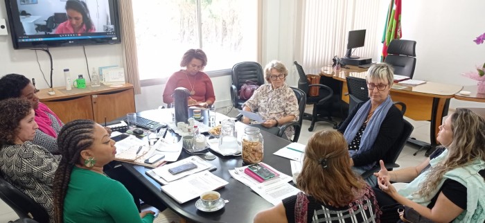 Secretaria da Assistência Social e Conselho Estadual dos Direitos da Mulher debatem ações de fortalecimento dos organismos municipais
