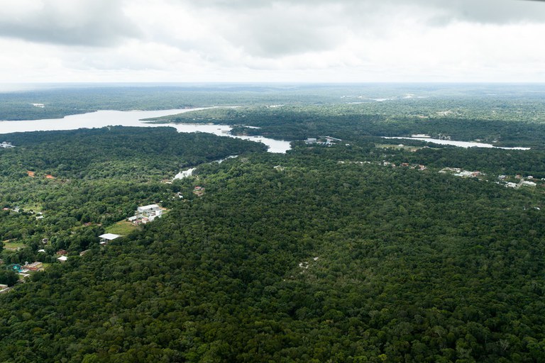 Desmatamento na Amazônia tem queda de 68% em abril em relação a 2022.