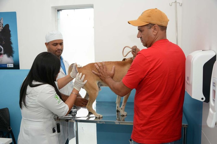 Em um mês de funcionamento, Centro de Apoio à Saúde Animal já realizou mais de 400 atendimentos