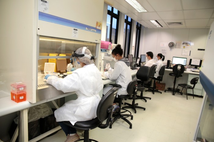 Laboratório da Hemominas tem papel essencial na realização de transplantes