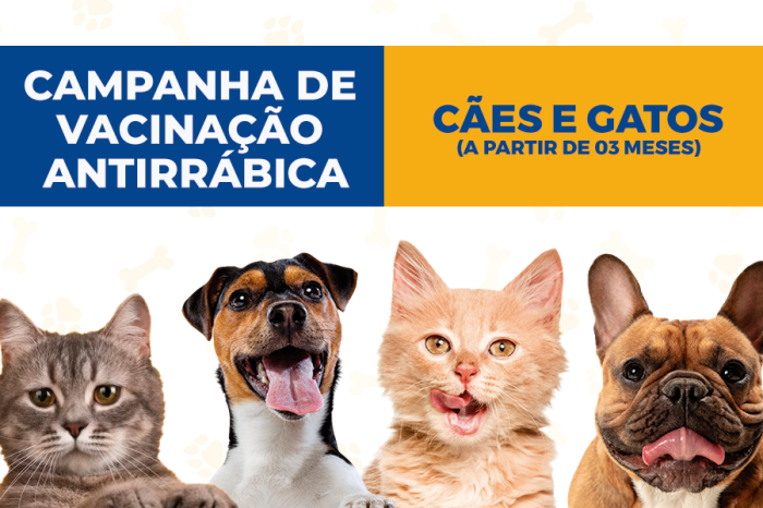 Campanha de Vacinação Antirrábica começa na próxima segunda-feira, pela zona rural