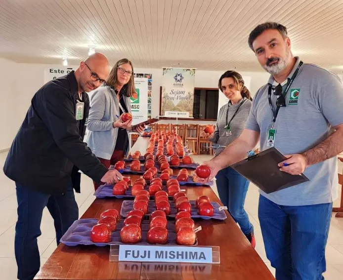 Cidasc participa do 1º Concurso Nacional da Indicação Geográfica da Maçã Fuji da Região de São Joaquim