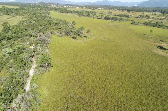 Condições climáticas propícias para incêndio geram alerta das equipes do Parque Estadual da Serra do Tabuleiro